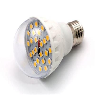 V LED BULB