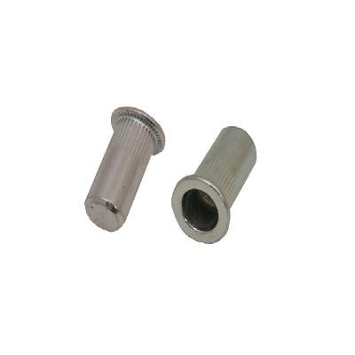Flat Head Round Body Close End Rivet Nut