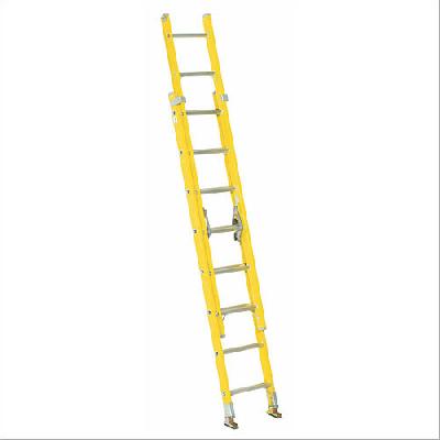 Wall Support Extension Ladder
