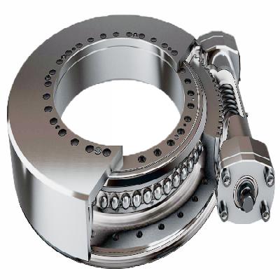 Slewing Drive With Ring