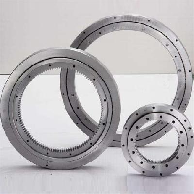 SS Slew Ring