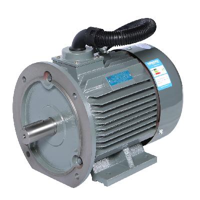 Screen Protected Drip Proof AC Motor