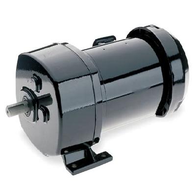 AC Geared Motor