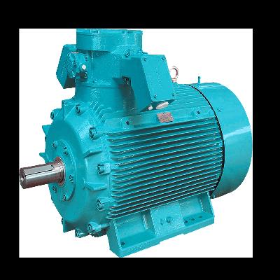 Crompton Greaves Motor