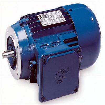 Face Mounted Motor