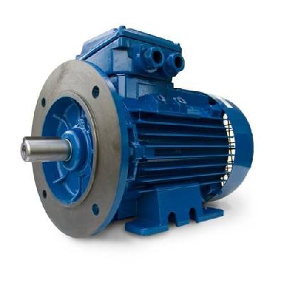 Flange Motors