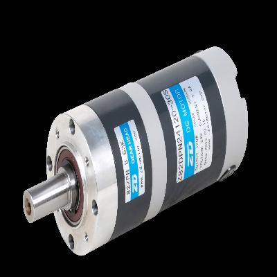 Planetary Gear Motor