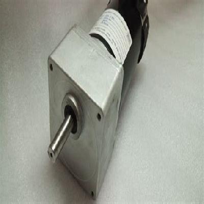 In Line Geared Motors