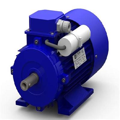 Single Phase Standard Motors