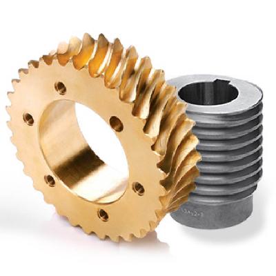 Bronze Worm Gears