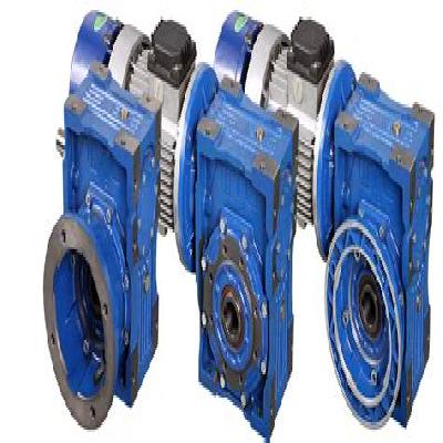 Roller Worm Reducer