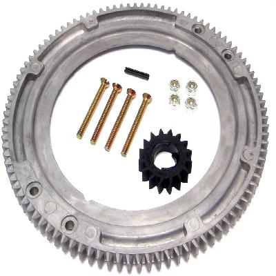 Starter Flywheel Ring Gear