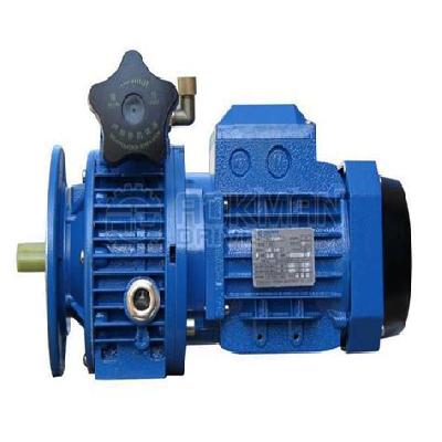 Variable Speed Gear Drive
