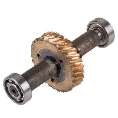 Worm Gear Assembly