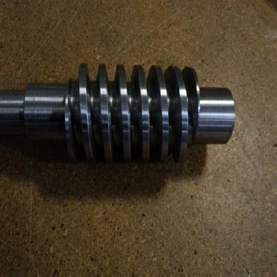 Worm Shafts
