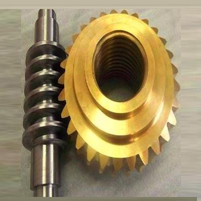 Worm Wheel and Worm Shaft