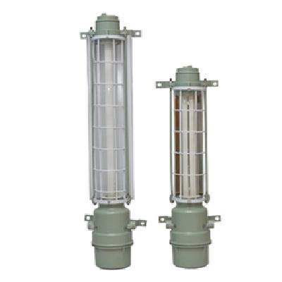 Flp Wp Flourescent Fixtures