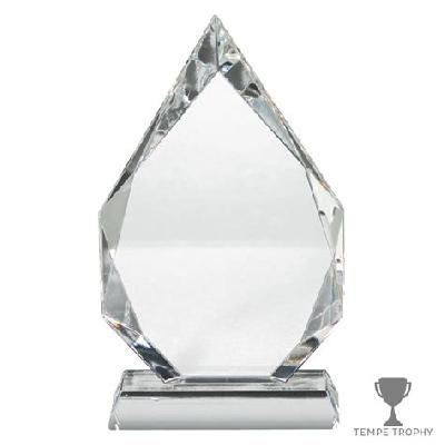 Crystal Award