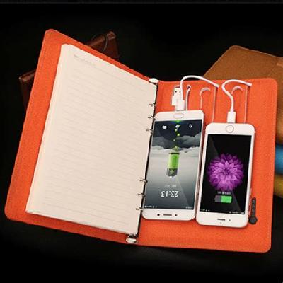 Power Bank Diary