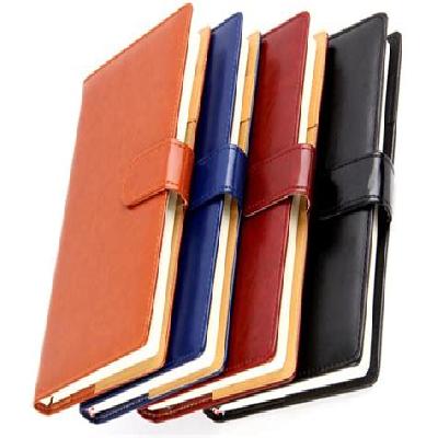Premium Folder Diary