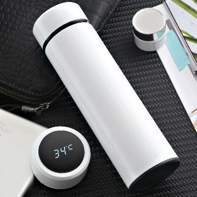 Water Bottle Along Led Temperature Display