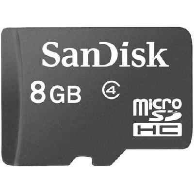 SanDisk Micro SD Memory Card