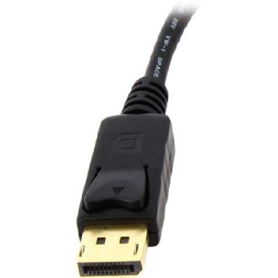 Startech Display Port to DVI Video Adapter DP2DVI2