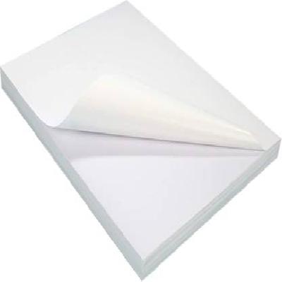 Jindal Non Tearable Paper - NTR