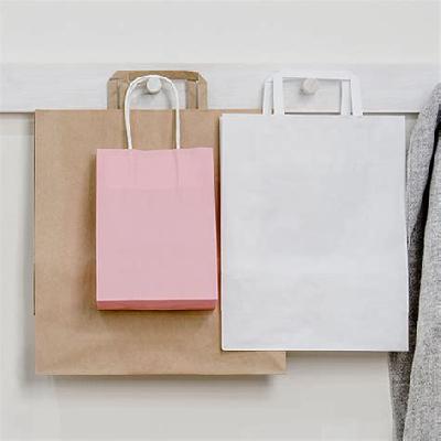 Paper Carry Bags