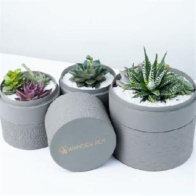 Corporate Planter Pots And Plant Gifts