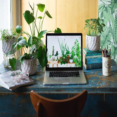 Good Desktop Plants