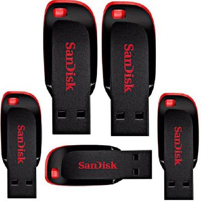 Sandisk 32 GB Cruzer Blade Flash Drive