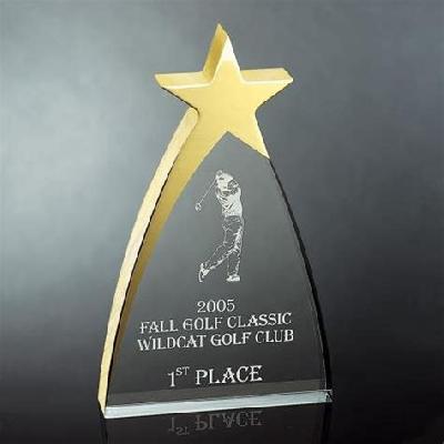 Black and Golden Acrylic Trophy