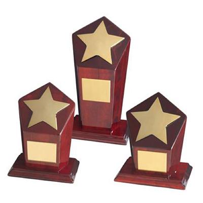 Metal Wooden Trophy