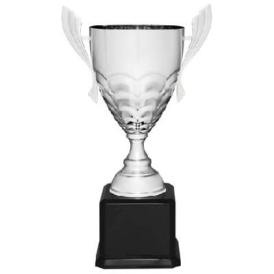 Metal Trophy