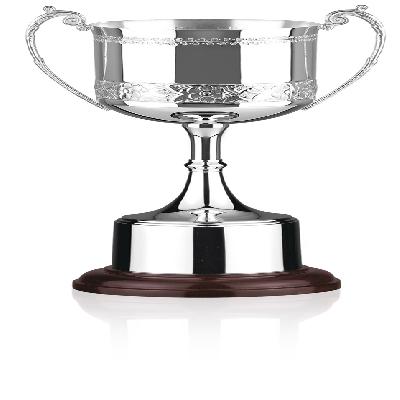 Office Trophy With Silver Plate