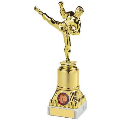 Sports Figure Trophies in Lucknow