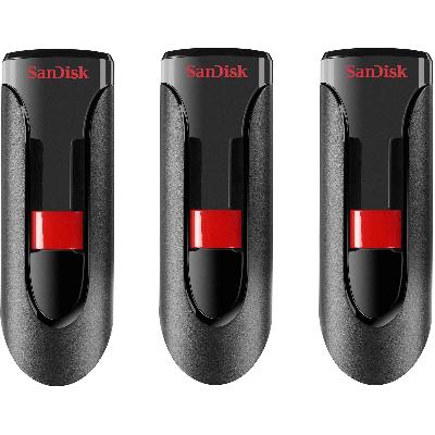 Sandisk Flash Drive