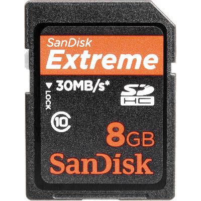 SanDisk 8GB SD Card