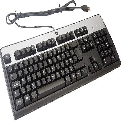 HP KU-0316 USB Wired Keyboard