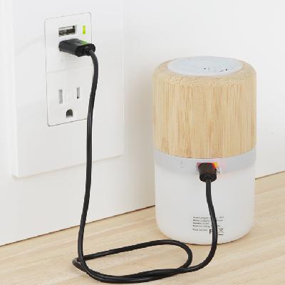 BAMBOO SPEAKER WITH LAMP