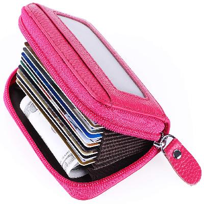 Credit Card Holder