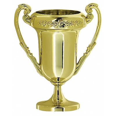 Prize Trophy