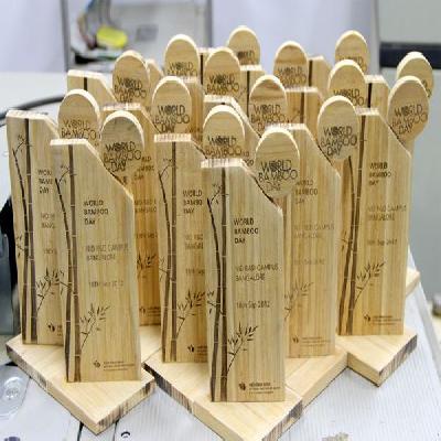 Designer Wooden Trophy