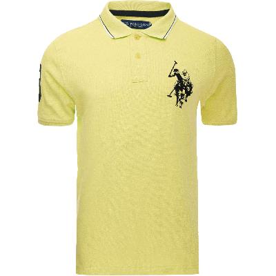 T Shirt Of Polo 