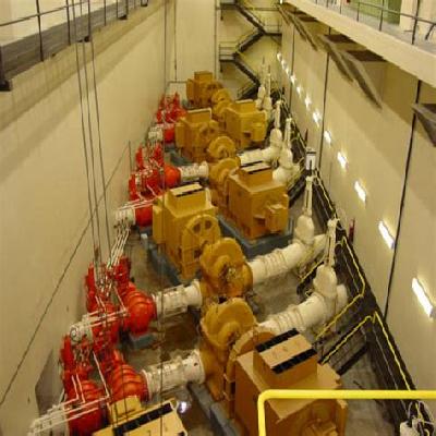 Industrial Pumps Repairing Services