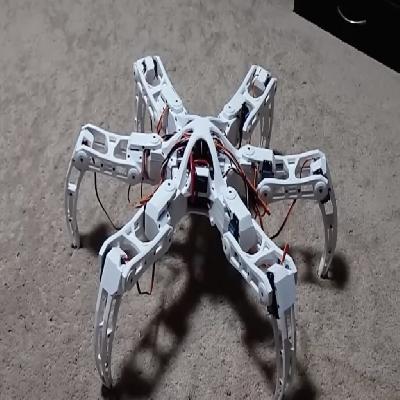 Hexa-Bot Spider Robotic DIY Kits