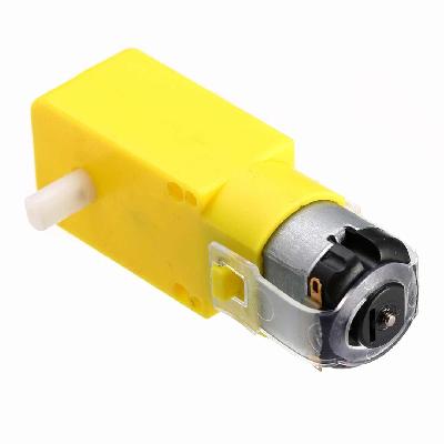 300RPM Dual Shaft DC Motor