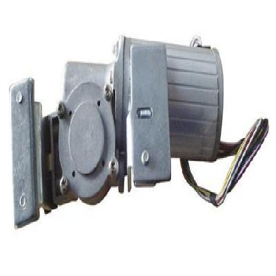 Boom Barrier BLDC Motor With Worm Gear Box