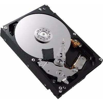 Server Hard Disk